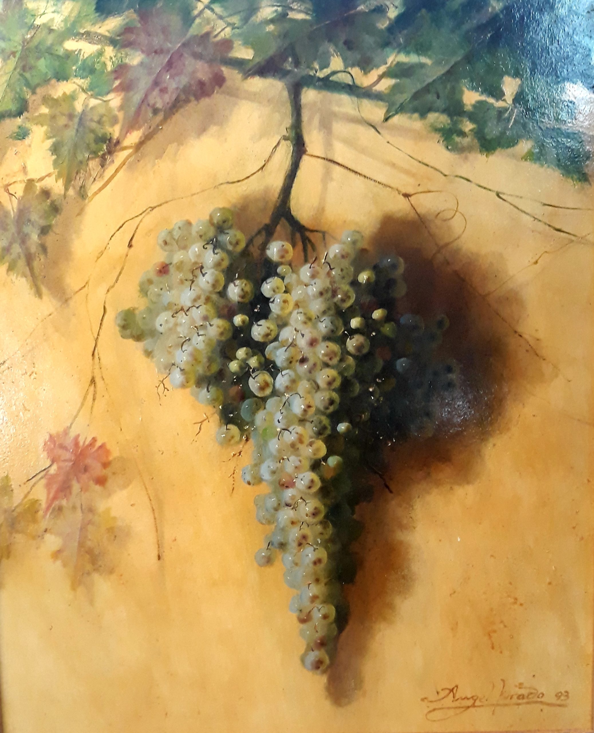 Uvas 1 Uvas