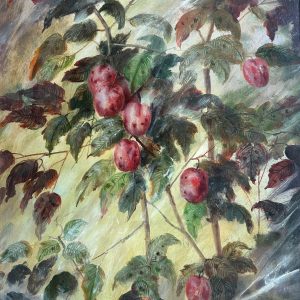 Plums