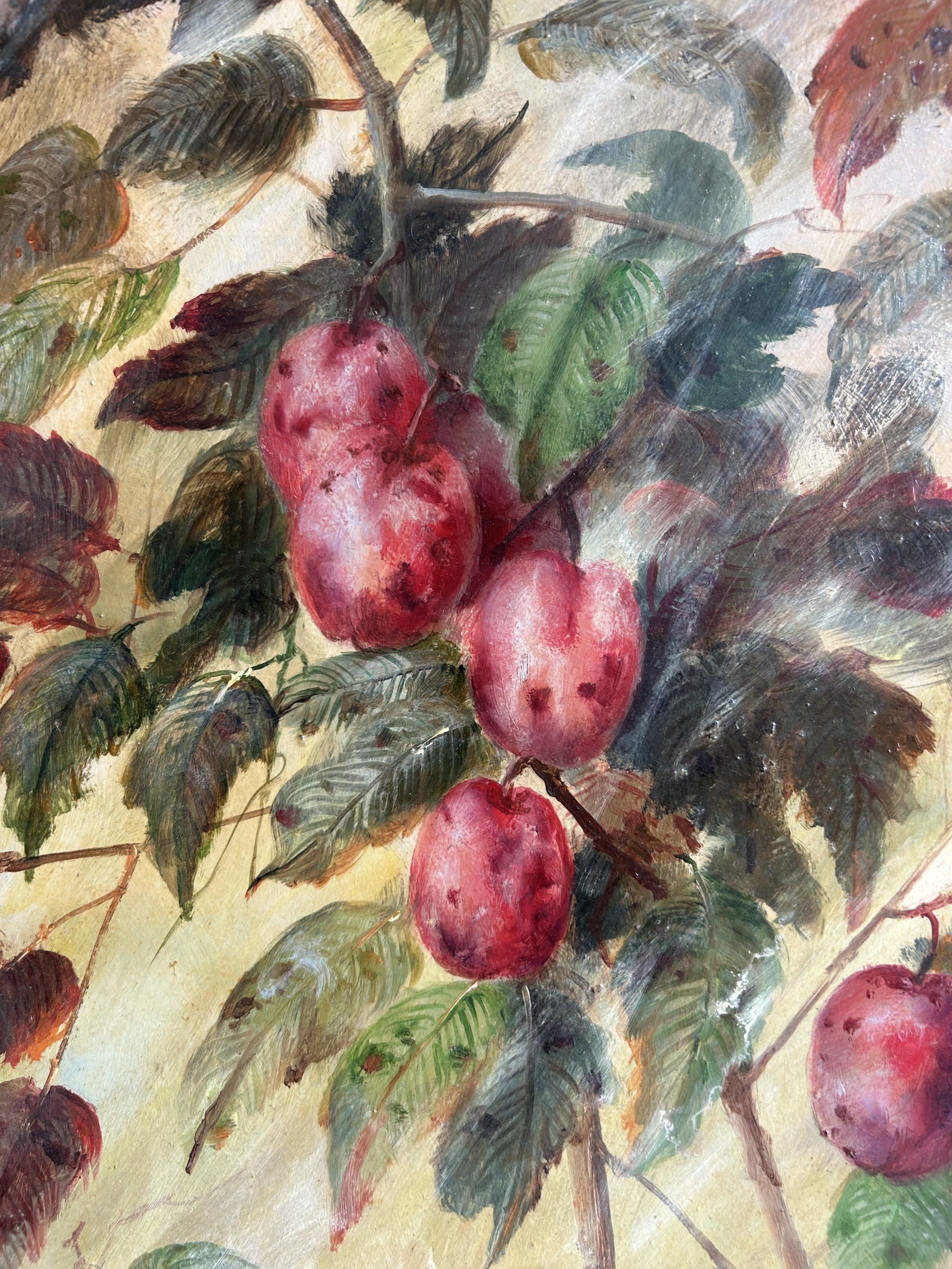 Plums 2 Plums - Image 2