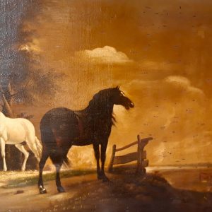 Horses