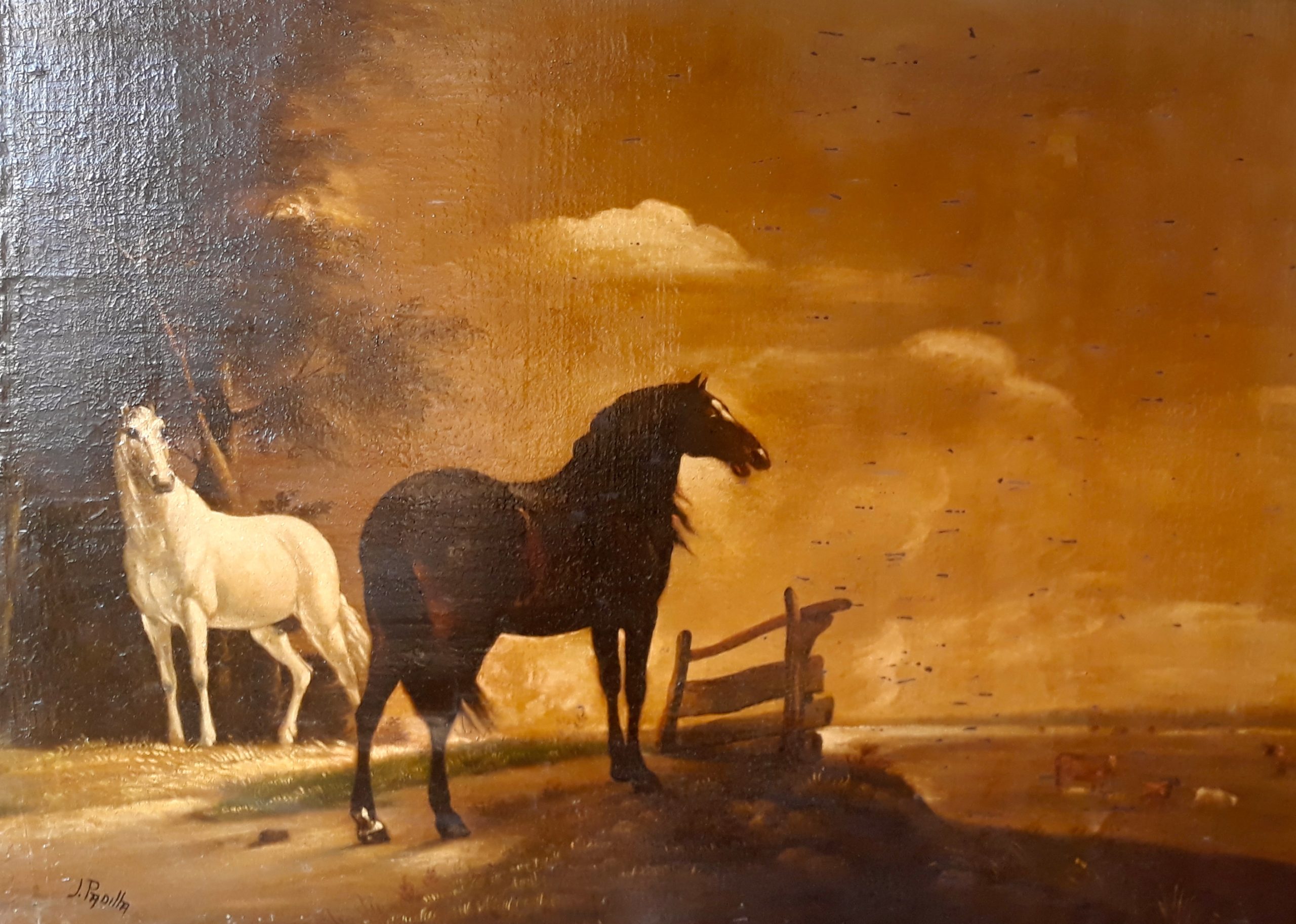 Caballos 1 Caballos