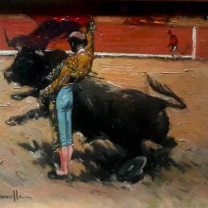 The Bullfighter