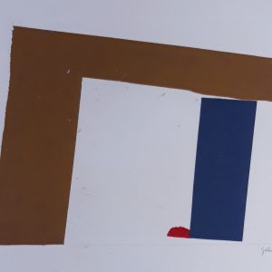 Geografia sobreposta