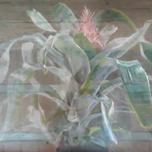Still Life Plant