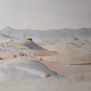 Muru Astrain Navarra
