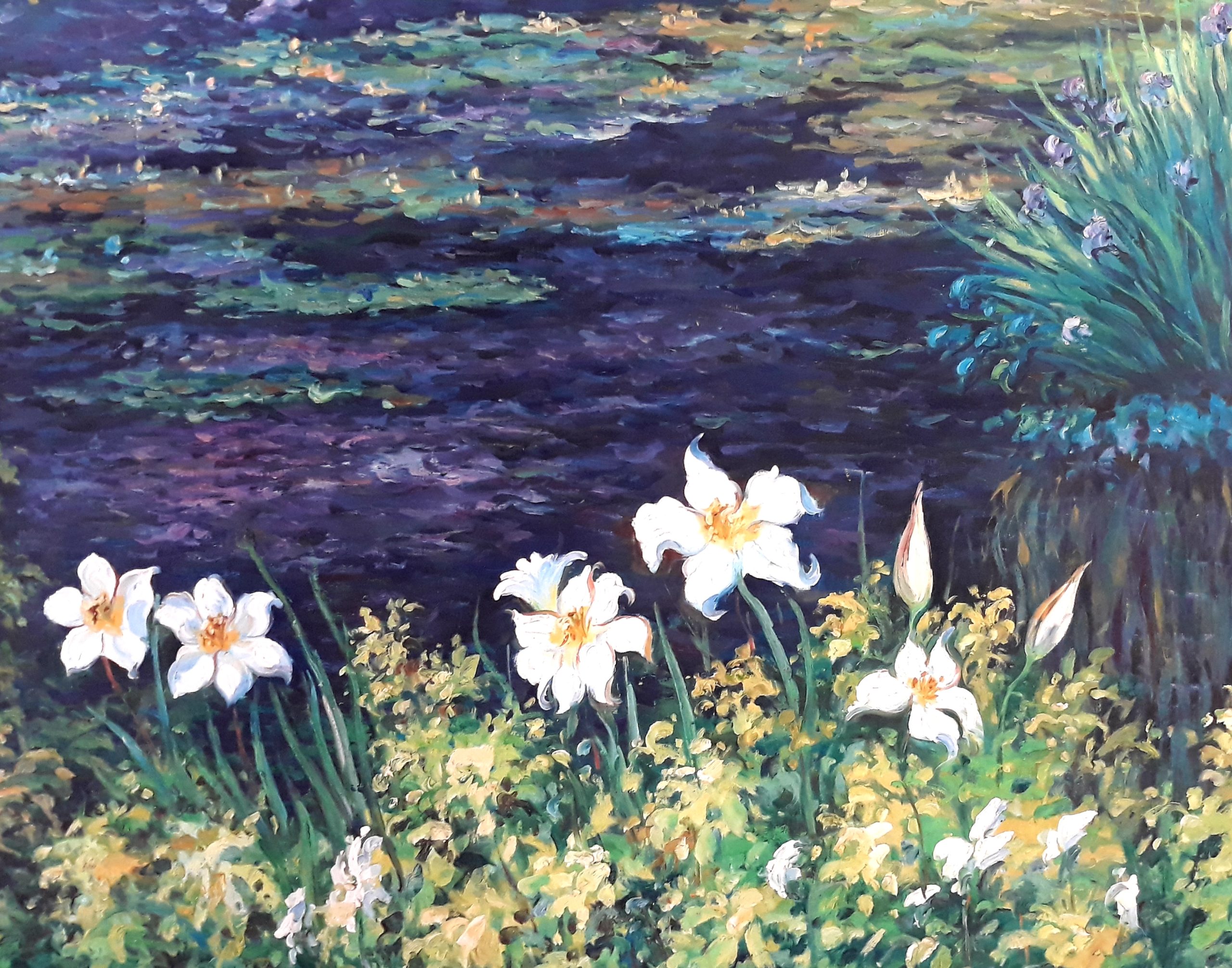 Irises at Quiet Water 1 Irises at Quiet Water