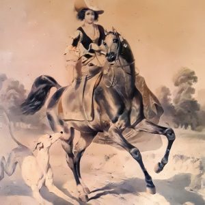 The Amazon at a Gallop