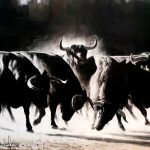 Bulls in the Arena